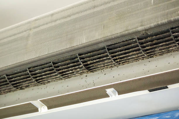 Best Best Air Duct Cleaning Company  in Crandon, WI